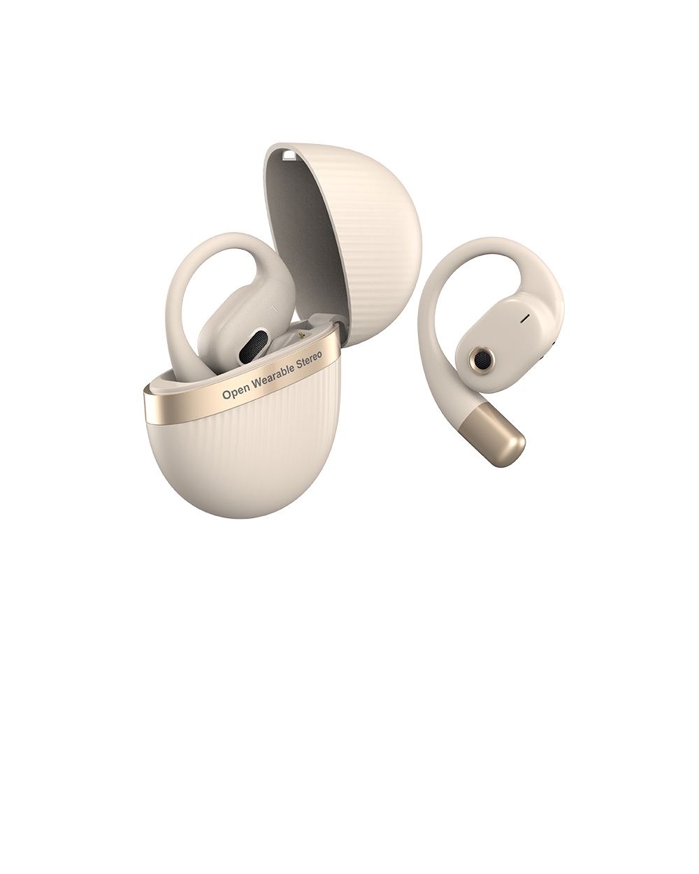 Earphone/Headphone/Earbuds